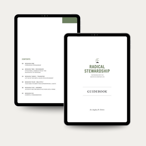 Guidebook for Radical Stewardship